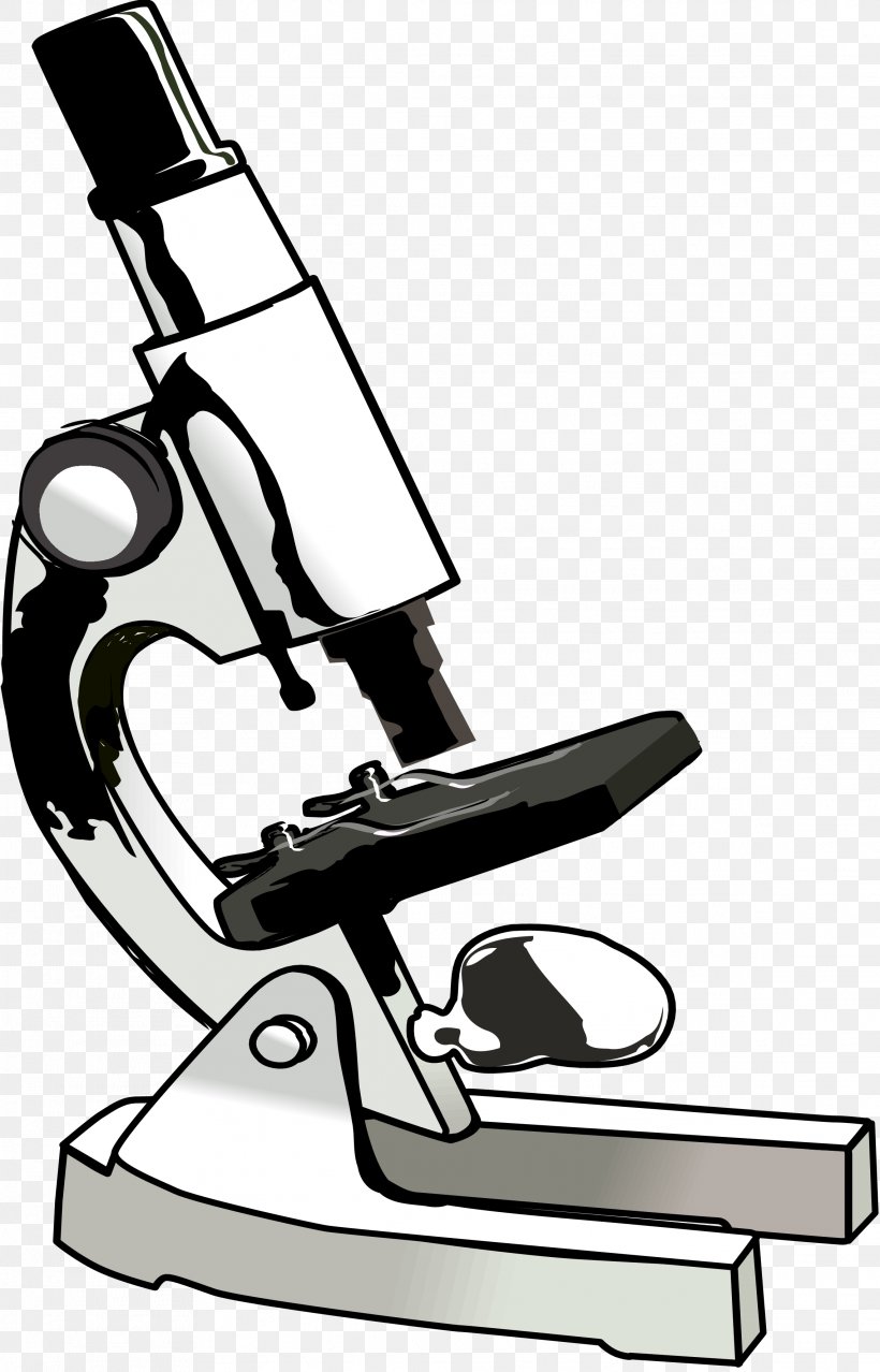 Light Optical Microscope Clip Art, PNG, 2282x3559px, Light, Black And White, Chair, Drawing, Free Content Download Free