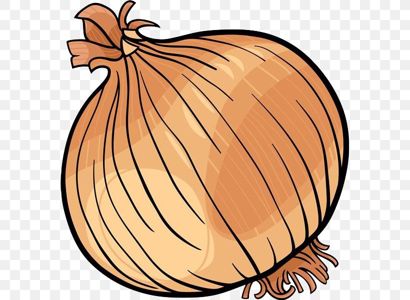 Onion Vegetable Black And White Clip Art, PNG, 577x600px, Onion, Artwork, Black And White, Can Stock Photo, Cartoon Download Free
