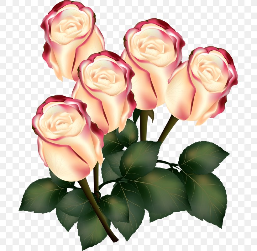 Rose Flower Photography, PNG, 701x800px, Rose, Artificial Flower, Cut Flowers, Floral Design, Floribunda Download Free