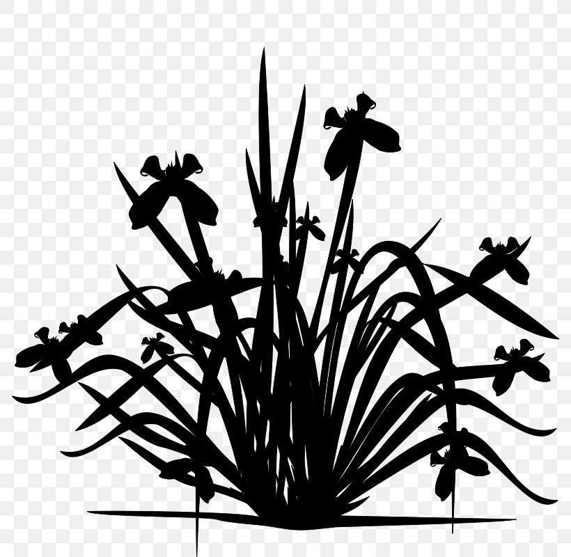Twig Flowering Plant Plant Stem Clip Art, PNG, 800x800px, Twig, Blackandwhite, Botany, Branch, Flower Download Free