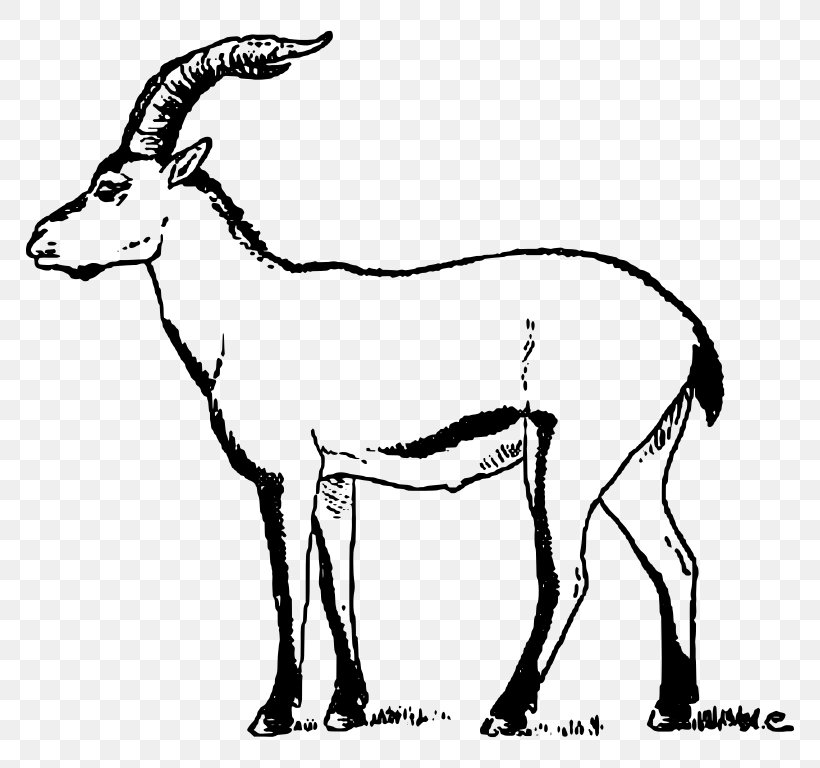 Alpine Ibex Anglo-Nubian Goat Pyrenean Ibex Portuguese Ibex Clip Art, PNG, 768x768px, Alpine Ibex, Anglonubian Goat, Animal Figure, Antelope, Black And White Download Free
