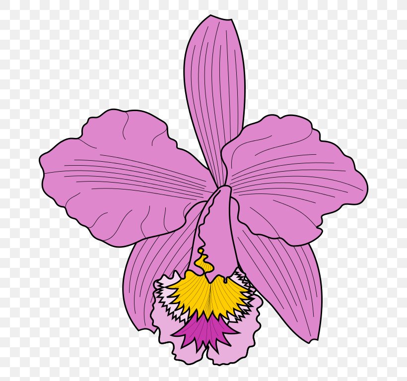 Cattleya Trianae Clip Art, PNG, 722x768px, Cattleya Trianae, Butterfly, Cattleya, Cattleya Orchids, Display Resolution Download Free