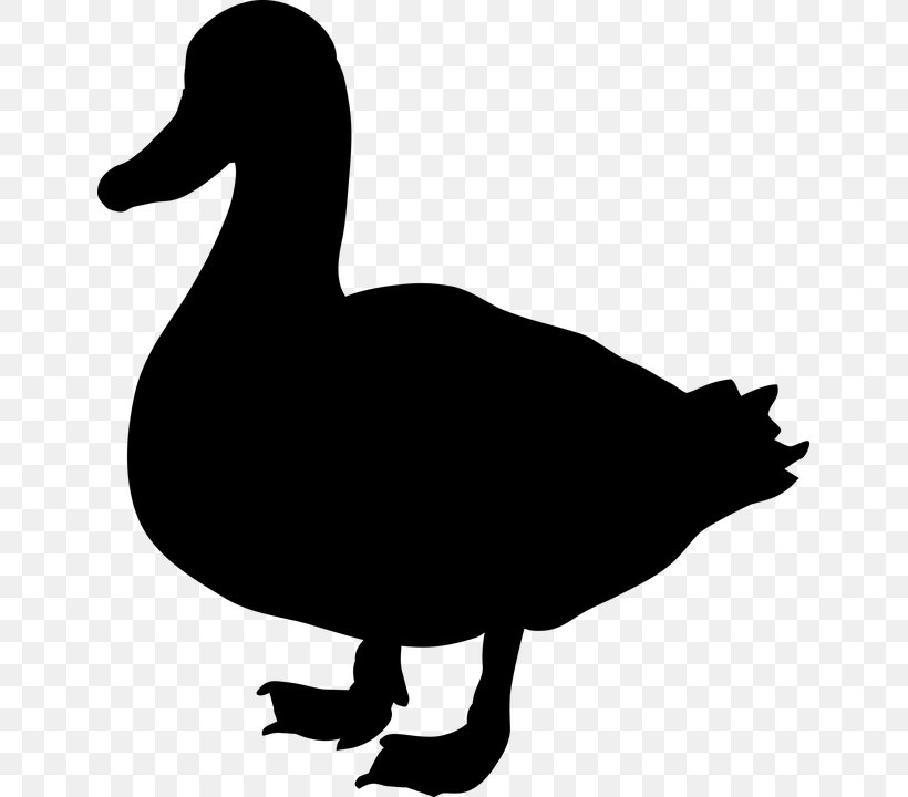 Duck Goose Clip Art Fauna Silhouette, PNG, 643x720px, Duck, American Black Duck, Beak, Bird, Ducks Geese And Swans Download Free