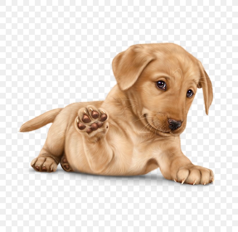 Labrador Retriever Puppy Golden Retriever Kitten 0, PNG, 800x800px, 2018, Labrador Retriever, Animal, Bark, Beige Download Free