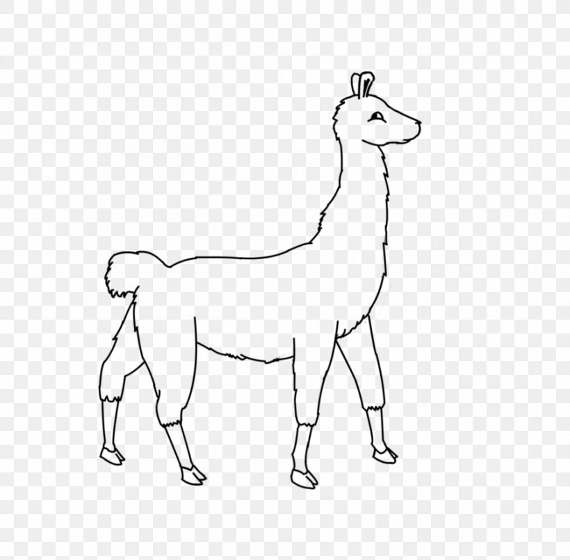 Giraffe - Line Art Giraffe Llama Camel Drawing PNG
