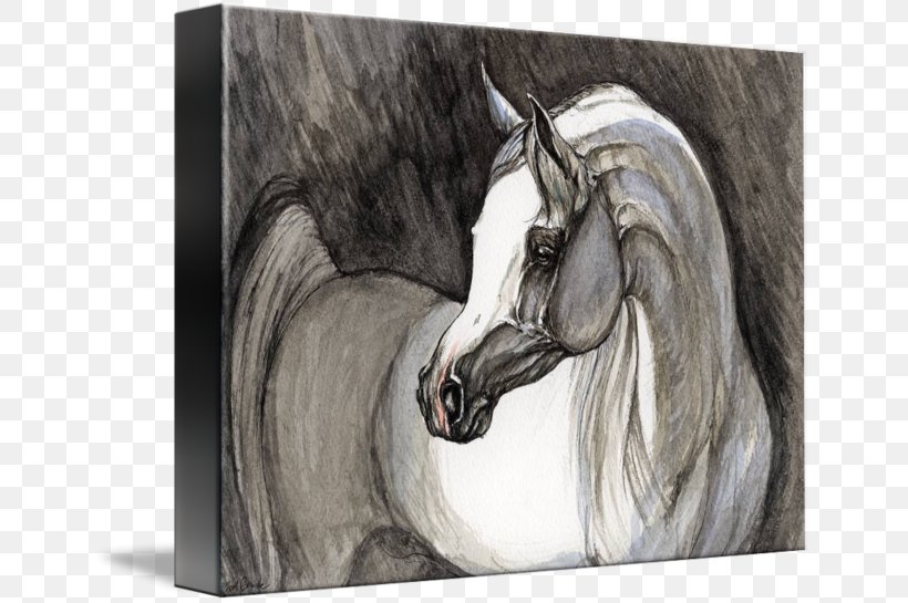 Mustang Mane Stallion Bridle Painting, PNG, 650x545px, Mustang, Artwork, Black And White, Bridle, Drawing Download Free