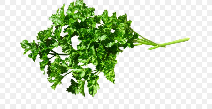 Parsley Food Herb Image, PNG, 735x420px, Parsley, Cooking, Drink, Food, Greens Download Free