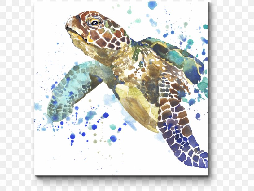 Sea Turtle Stock Photography Watercolor Painting, PNG, 1400x1050px, Turtle, Art, Drawing, Emydidae, Fauna Download Free