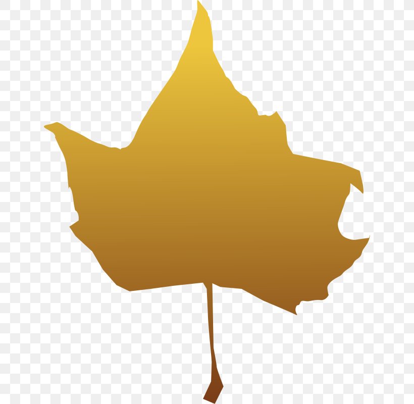 Autumn Leaf Color Tree Clip Art, PNG, 646x800px, Autumn Leaf Color, Autumn, Green, Leaf, Maple Download Free