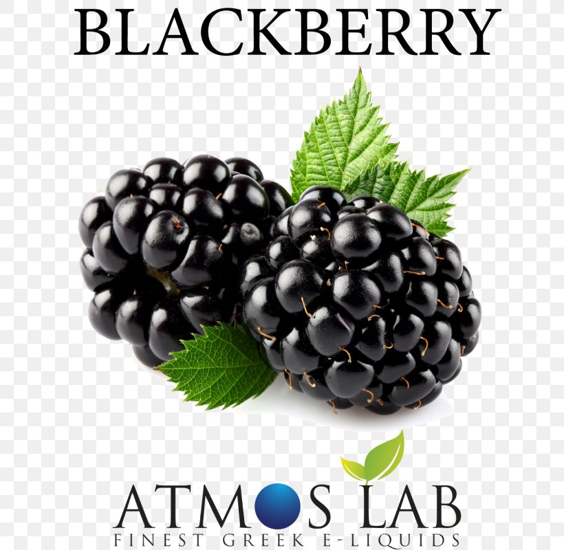 Blackberry Electronic Cigarette Aerosol And Liquid Fruit Stock Photography, PNG, 800x800px, Blackberry, Berry, Bilberry, Blueberry, Boysenberry Download Free