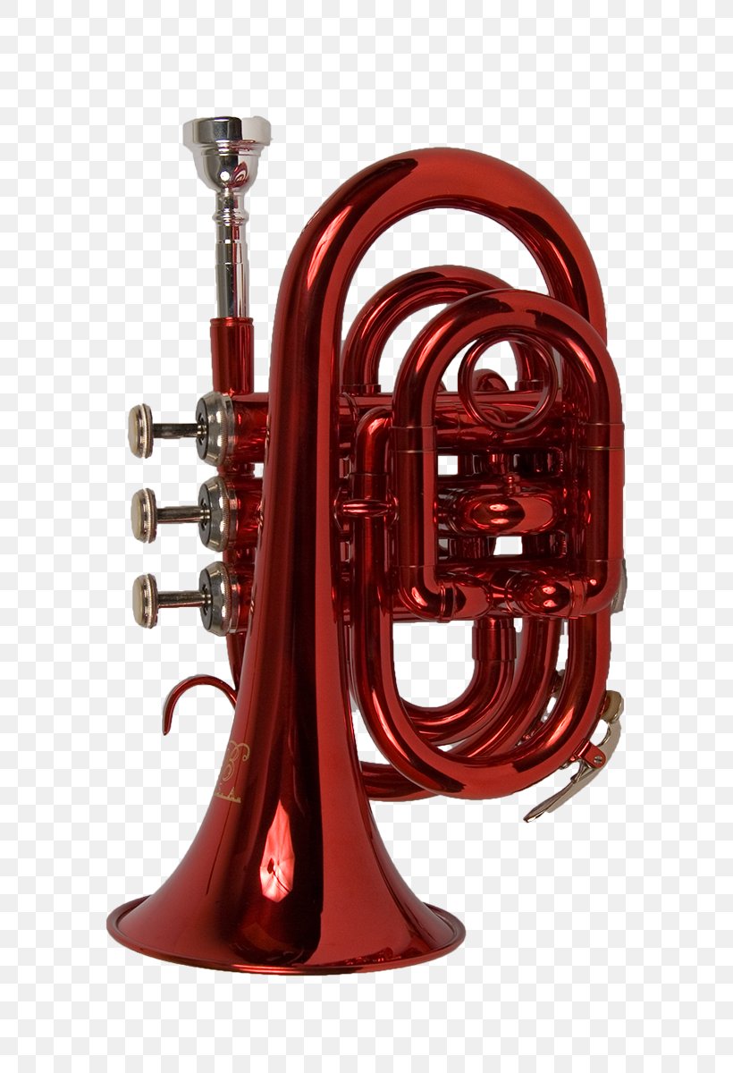 Cornet Saxhorn Pocket Trumpet Bugle Flugelhorn, PNG, 800x1200px, Cornet, Alto Horn, Bore, Brass, Brass Instrument Download Free