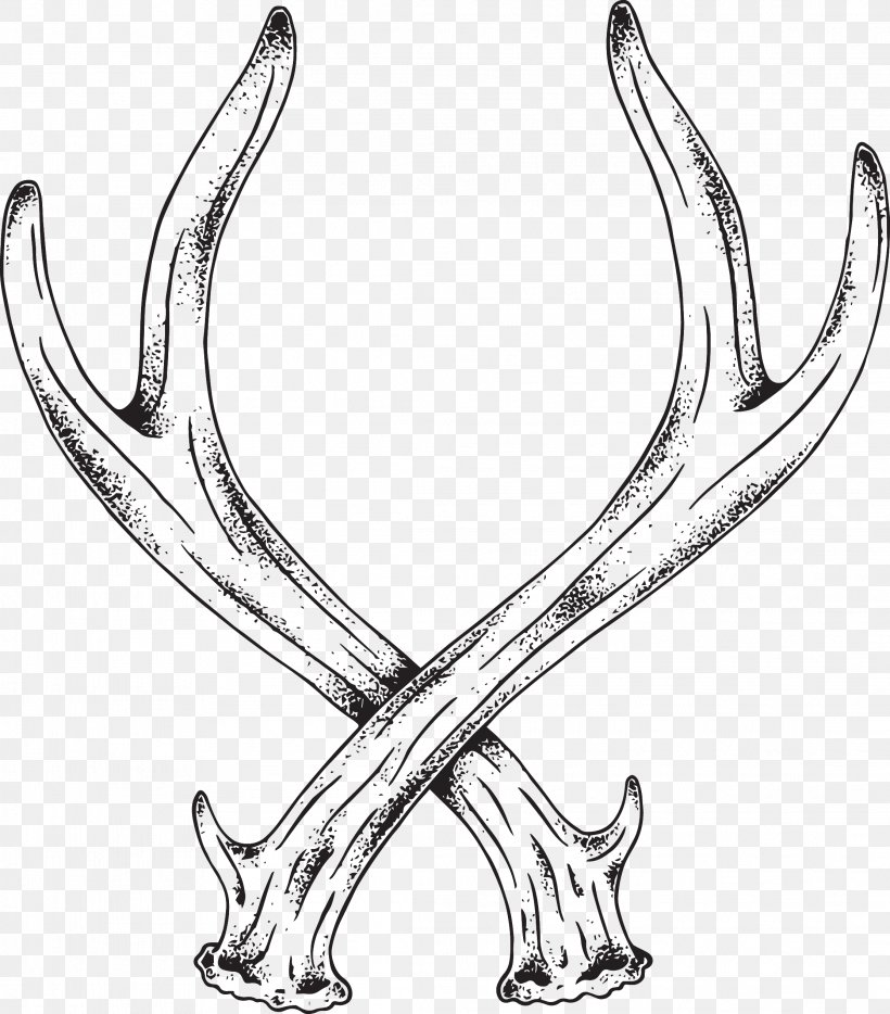 Deer Antler Horn Line Art Elk, PNG, 2227x2537px, Deer, Antelope, Antler, Black And White, Body Jewellery Download Free