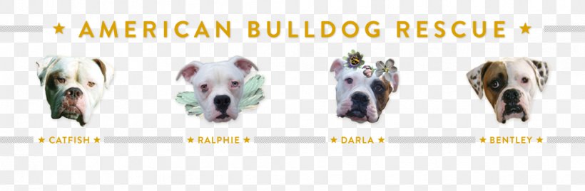 Dog Breed Shoe, PNG, 1010x332px, Dog Breed, Brand, Breed, Dog, Dog Like Mammal Download Free