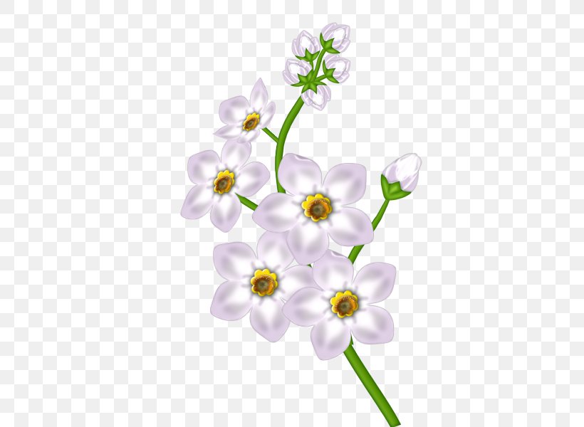 Flower Floral Design, PNG, 600x600px, Flower, Blog, Blossom, Branch, Flora Download Free