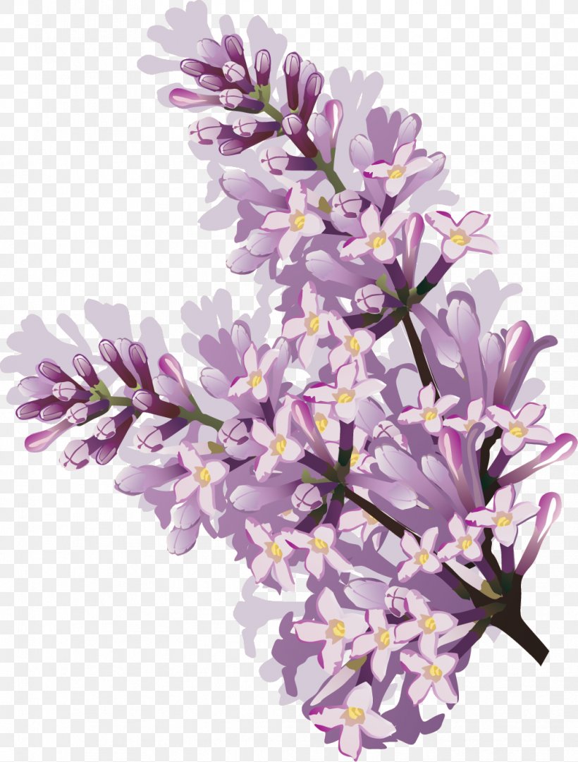 Buy Lilac Flower Botanical Art Print  Vintage Flower Art  Online in India   Etsy