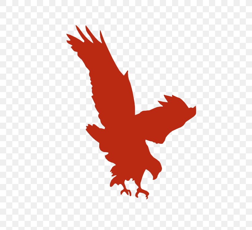 Logo, PNG, 750x750px, Logo, Beak, Bird, Bird Of Prey, Business Download Free