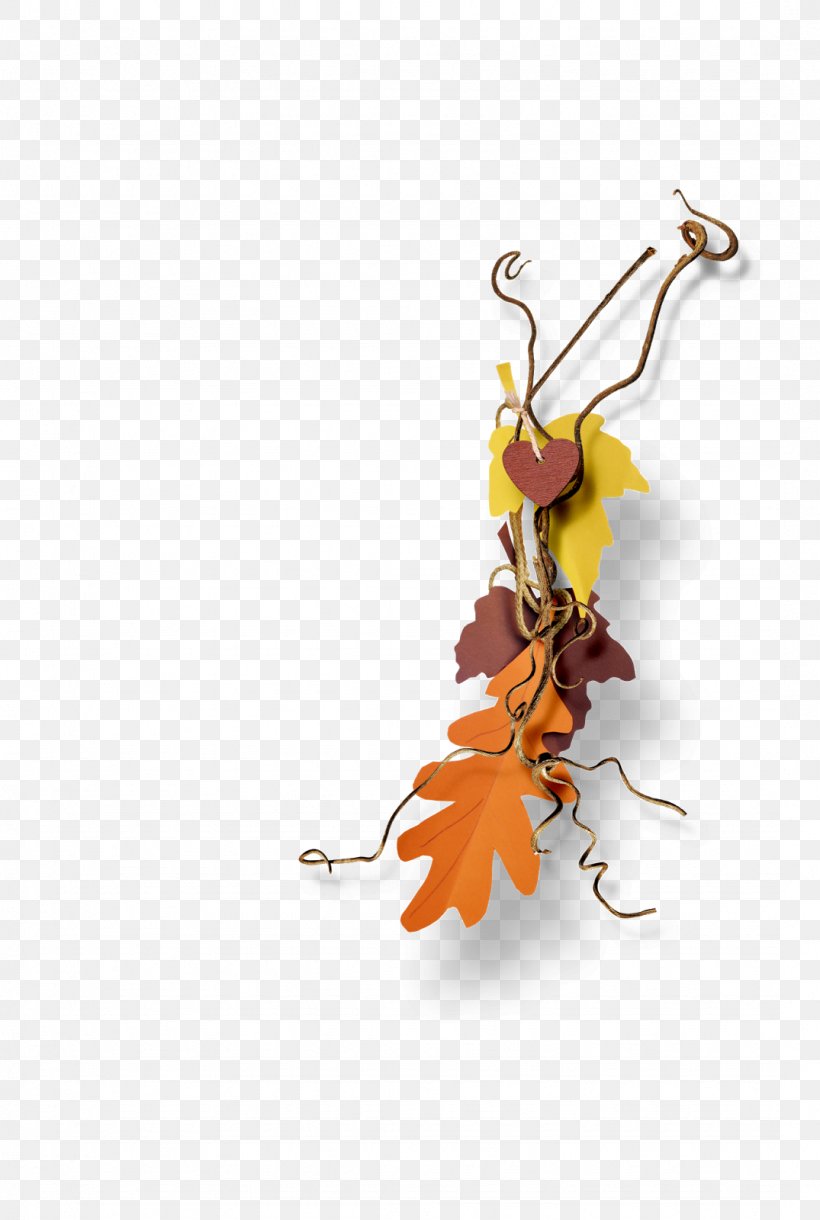 Image Adobe Photoshop Autumn Leaf, PNG, 1075x1600px, Autumn, Leaf, Microsoft Powerpoint, Orange Sa, Owl Download Free