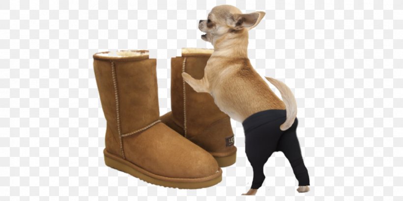 Yoga Pants Italian Greyhound Ugg Boots Dog Breed Clothing, PNG, 1810x905px, Yoga Pants, Boot, Carnivoran, Clothing, Dog Download Free