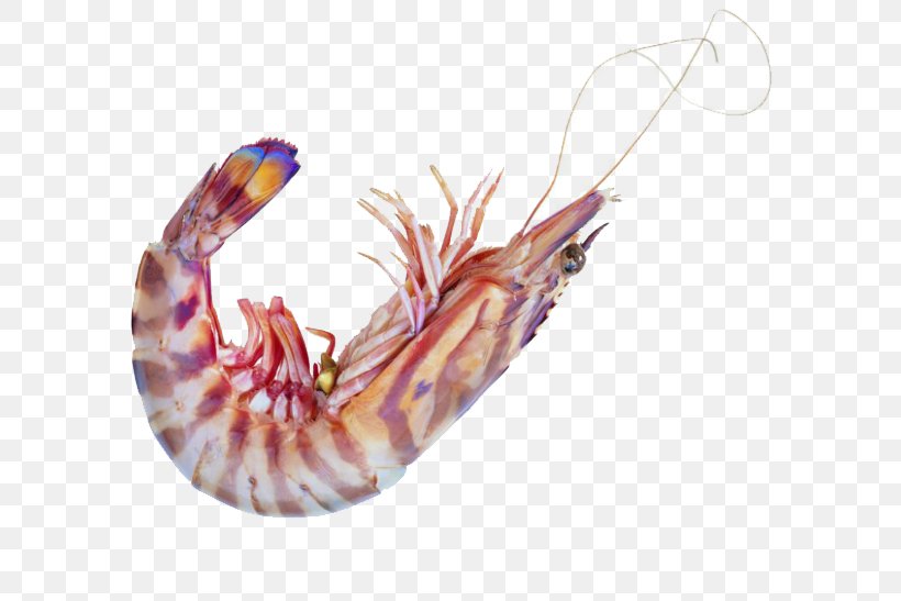 Caridea Seafood Shrimp Astaxanthin, PNG, 600x547px, Caridea, Astaxanthin, Close Up, Food, Image File Formats Download Free