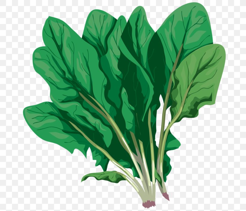 Chard Vegetable Komatsuna Spring Greens, PNG, 700x704px, Chard, Avatar, Choy Sum, Collard Greens, Color Download Free