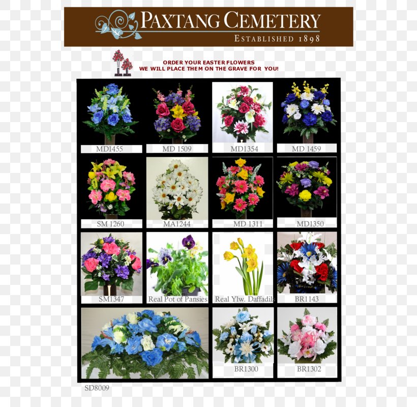 Floral Design Cut Flowers Flowering Plant Pattern, PNG, 582x800px, Floral Design, Annual Plant, Art, Cut Flowers, Flora Download Free