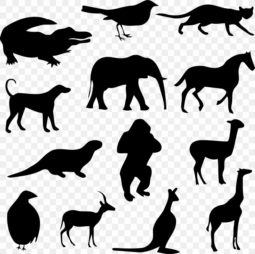 Giraffe Animal Cat Clip Art, PNG, 2400x2394px, Giraffe, Animal, Black And White, Cat, Dog Like Mammal Download Free