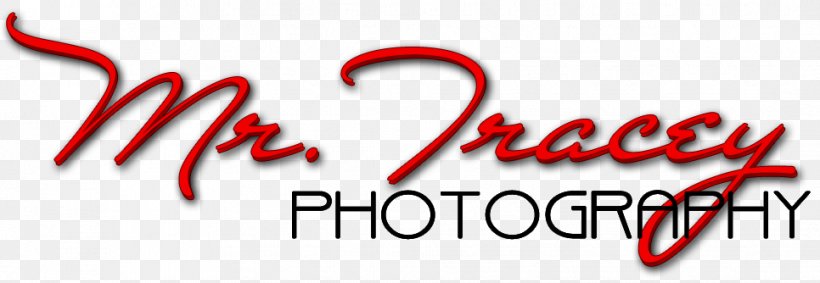 Photographer Photography Wedding Logo Brand, PNG, 966x334px, Watercolor, Cartoon, Flower, Frame, Heart Download Free
