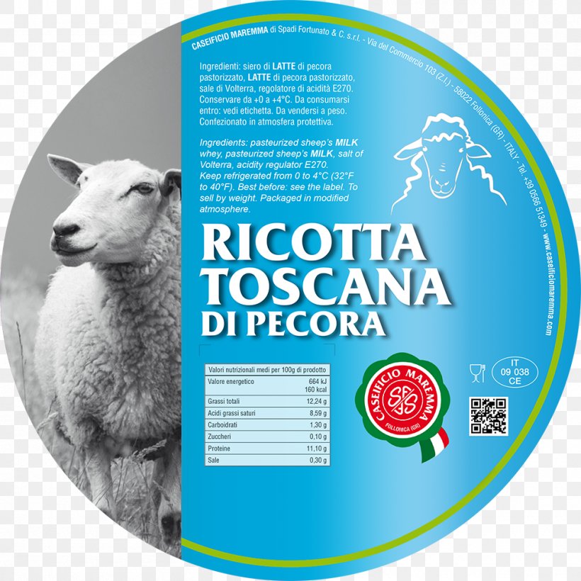 Sheep Caseificio Maremma Di Spadi Fortunato & C S.r.l. Milk Ricotta Cheese, PNG, 1000x1000px, Sheep, Brand, Cattle, Cheese, Cream Download Free