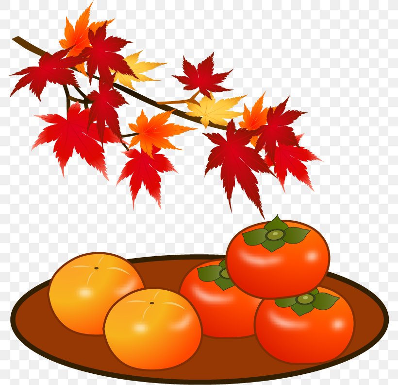 Tomato Japanese Persimmon Autumn Leaf Color Tannin, PNG, 784x792px, Tomato, Autumn, Autumn Leaf Color, Dried Persimmon, Flower Download Free