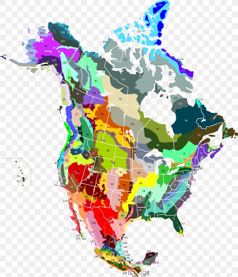 United States Of America Ecoregion Ecozones Of Canada Puerto Rican Moist Forests, PNG, 1712x1992px, United States Of America, Americas, Art, Biome, Canada Download Free