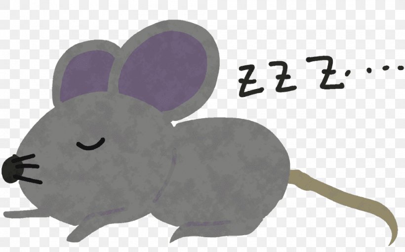 Computer Mouse Fauna Snout, PNG, 1010x629px, Computer Mouse, Fauna, Mammal, Mouse, Muridae Download Free