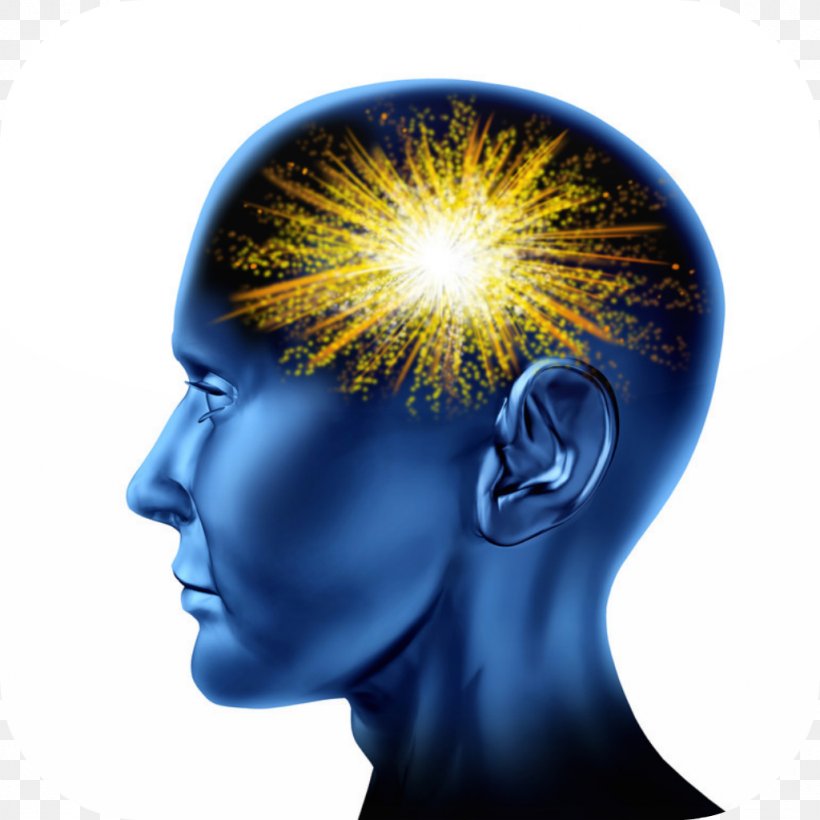 Human Brain Human Head Mind Homo Sapiens, PNG, 1024x1024px, Watercolor, Cartoon, Flower, Frame, Heart Download Free