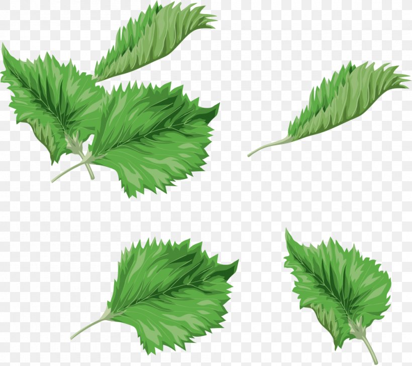 Leaf Green Watercolor Painting Clip Art, PNG, 1000x887px, Leaf, Digital Image, Grass, Green, Herb Download Free