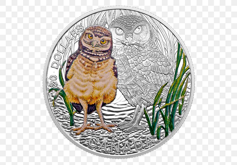 Owl Coin Canada Royal Canadian Mint Silver, PNG, 570x570px, Owl, Beak, Bird, Bird Of Prey, Bullion Download Free
