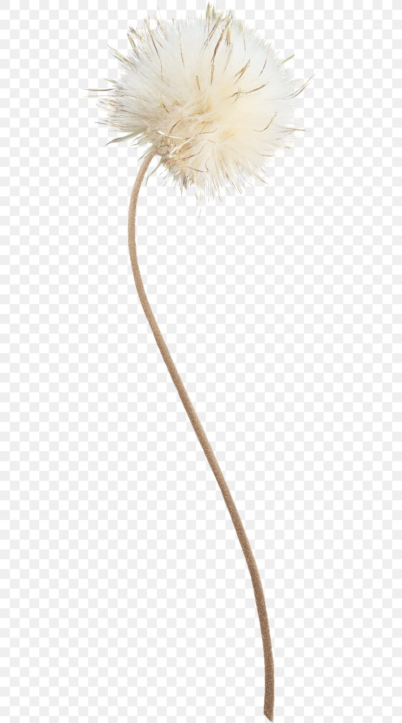 Common Dandelion White Euclidean Vector, PNG, 492x1474px, Common Dandelion, Animation, Blue, Dandelion, Drawing Download Free