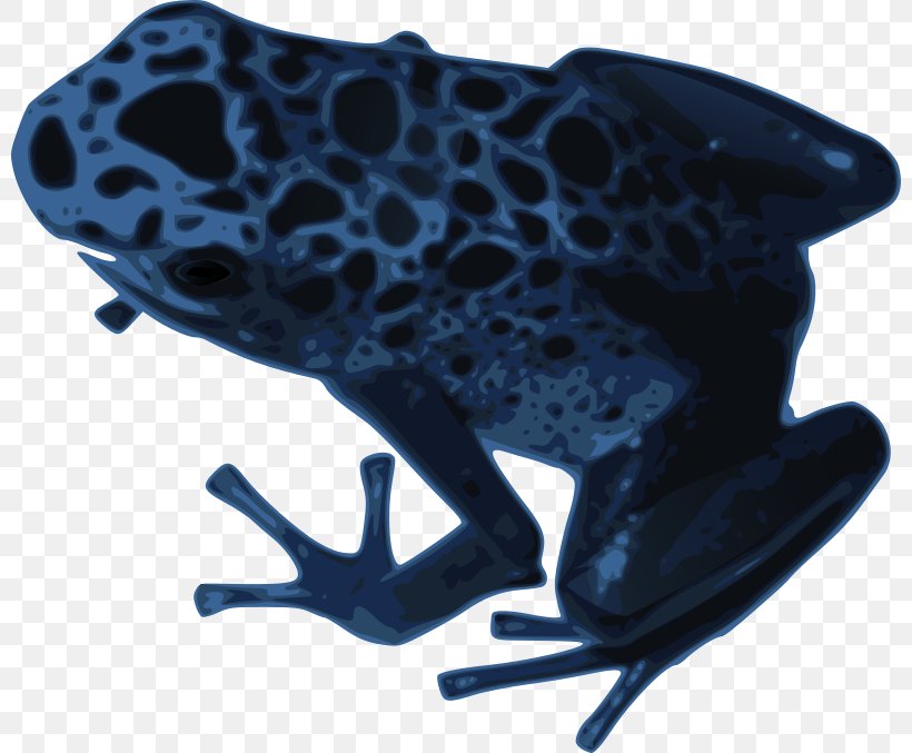 Frog Amphibian Clip Art, PNG, 800x677px, Frog, Amphibian, Blue, Blue Poison Dart Frog, Cobalt Blue Download Free