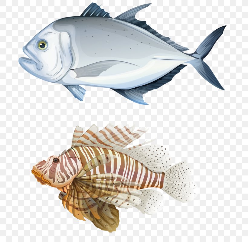 Giant Trevally Carangidae Royalty-free Illustration, PNG, 747x800px, Giant Trevally, Carangidae, Fauna, Fish, Fish Products Download Free