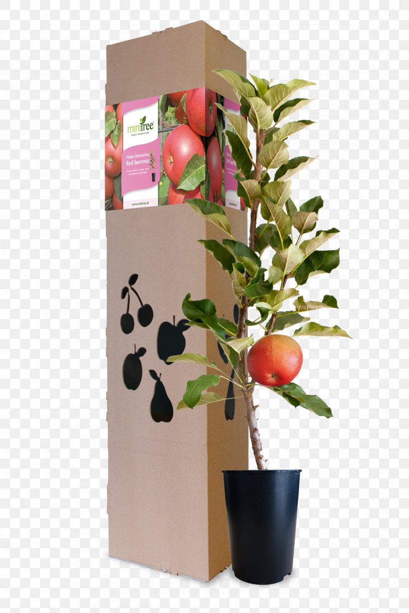 Blossom Apple Sauce Fruit Muesli, PNG, 1181x1772px, Blossom, Apple, Apple Sauce, Flower, Flowerpot Download Free