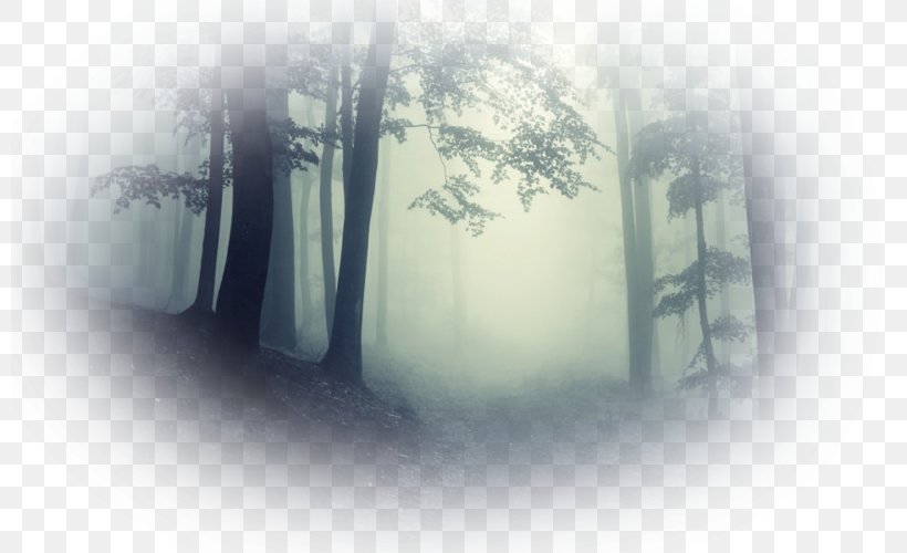 Cloud Forest Mist Fog Haze, PNG, 800x500px, Cloud Forest, Autumn, Energy, Fog, Forest Download Free