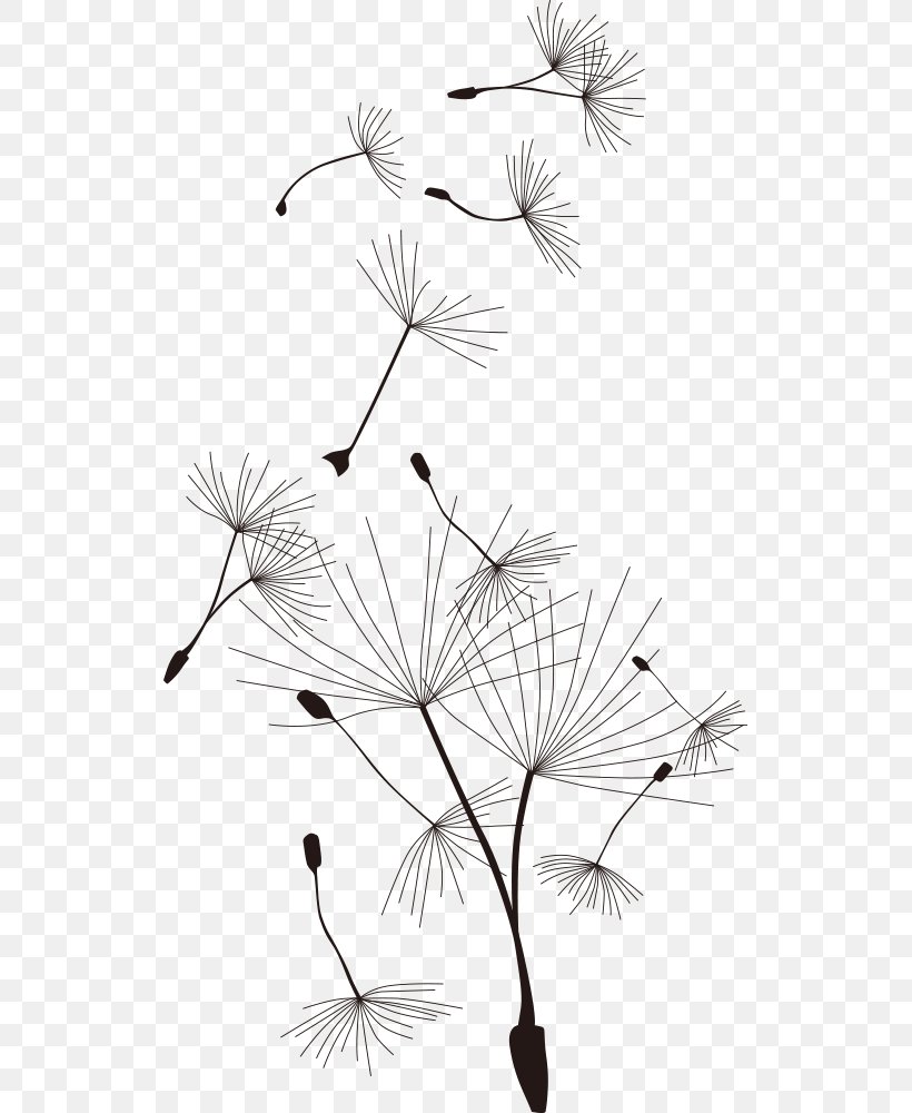 Common Dandelion T-shirt Cartoon, PNG, 525x1000px, Common Dandelion, Black And White, Branch, Cartoon, Dandelion Download Free