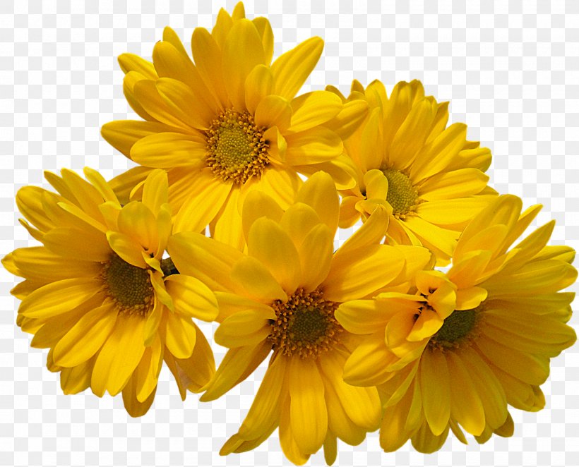 Flower Bouquet Yellow Common Daisy, PNG, 1600x1292px, Flower, Annual Plant, Blue, Blume, Calendula Download Free