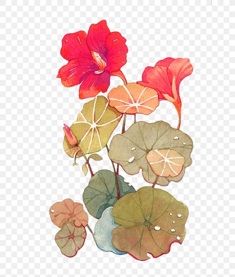 Flower Illustration, PNG, 658x969px, Flower, Concepteur, Designer, Floral Design, Flower Arranging Download Free