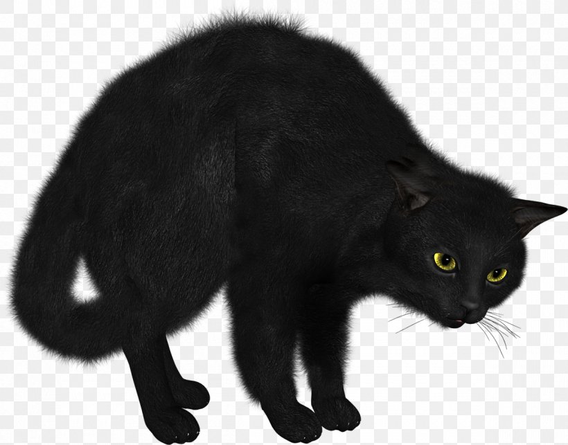 Sphynx Cat Kitten Clip Art, PNG, 1200x941px, Sphynx Cat, Black, Black And White, Black Cat, Bombay Download Free