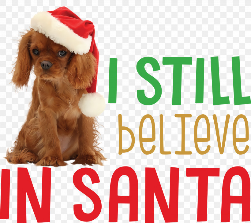 Believe In Santa Santa Christmas, PNG, 3000x2673px, Believe In Santa, Breed, Christmas, Companion Dog, Crossbreed Download Free