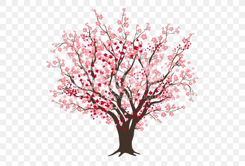 Cherry Blossom Tree Clip Art, PNG, 556x556px, Cherry Blossom, Blossom, Branch, Cherry, Drawing Download Free
