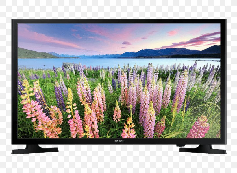 LED-backlit LCD High-definition Television 1080p Smart TV, PNG, 800x597px, 4k Resolution, Ledbacklit Lcd, Display Device, Display Resolution, Flower Download Free