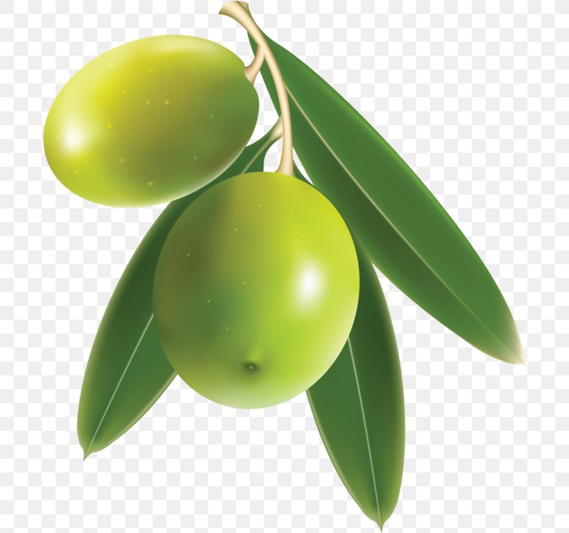 Olive Oil Food, PNG, 700x767px, Olive, Food, Fruit, Oil, Olive Branch Download Free