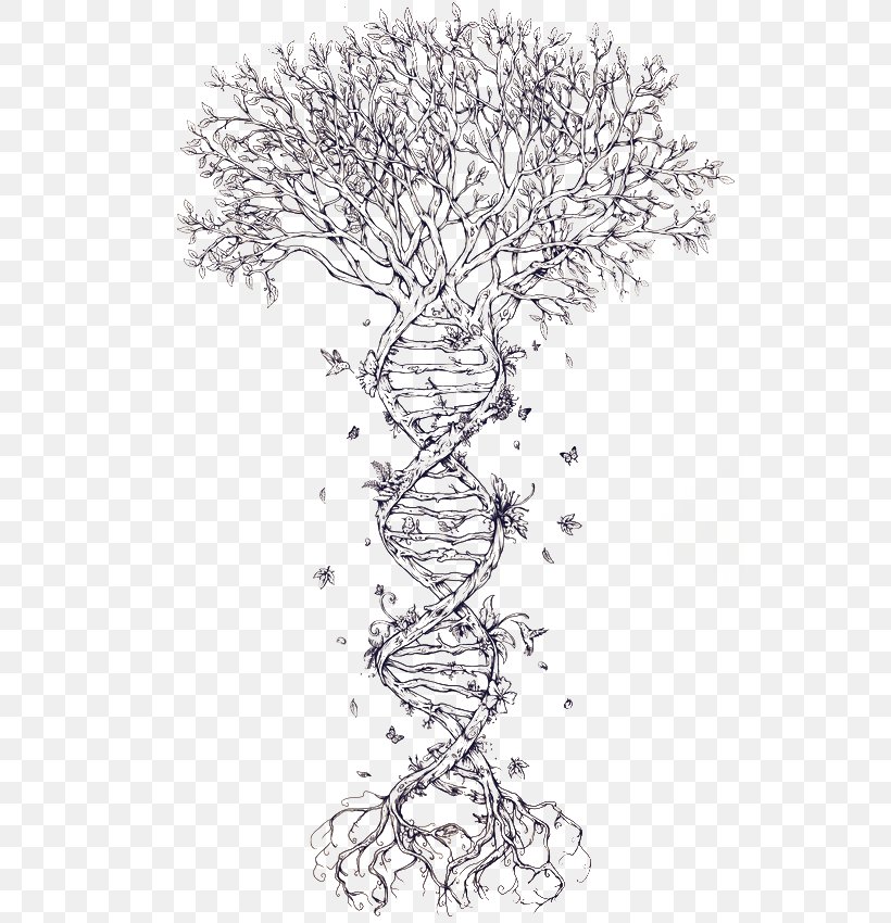 Family Tree DNA Tattoo Family Tree DNA Nucleic Acid Double Helix, PNG, 550x850px, Dna, Adna, Area, Artwork, Biology Download Free