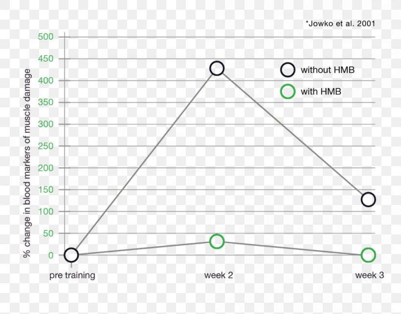 Line Point Angle Document, PNG, 1000x785px, Point, Area, Diagram, Document, Green Download Free