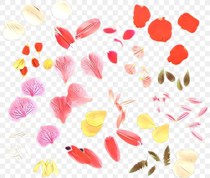 Petal Pink Leaf Plant Pattern, PNG, 800x696px, Petal, Flower, Leaf, Pedicel, Pink Download Free
